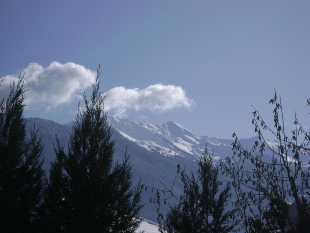 Fleur De Neige Villa Gilly-sur-Isere Buitenkant foto